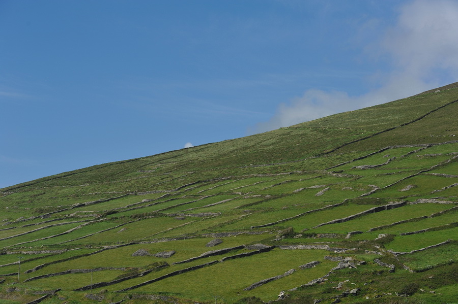 irland019