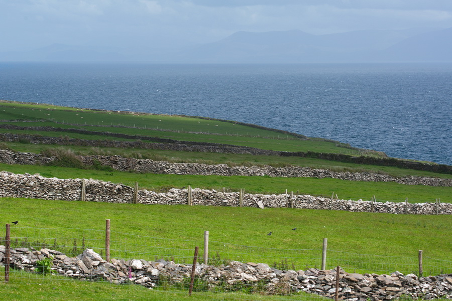 irland024