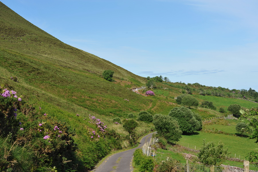 irland030