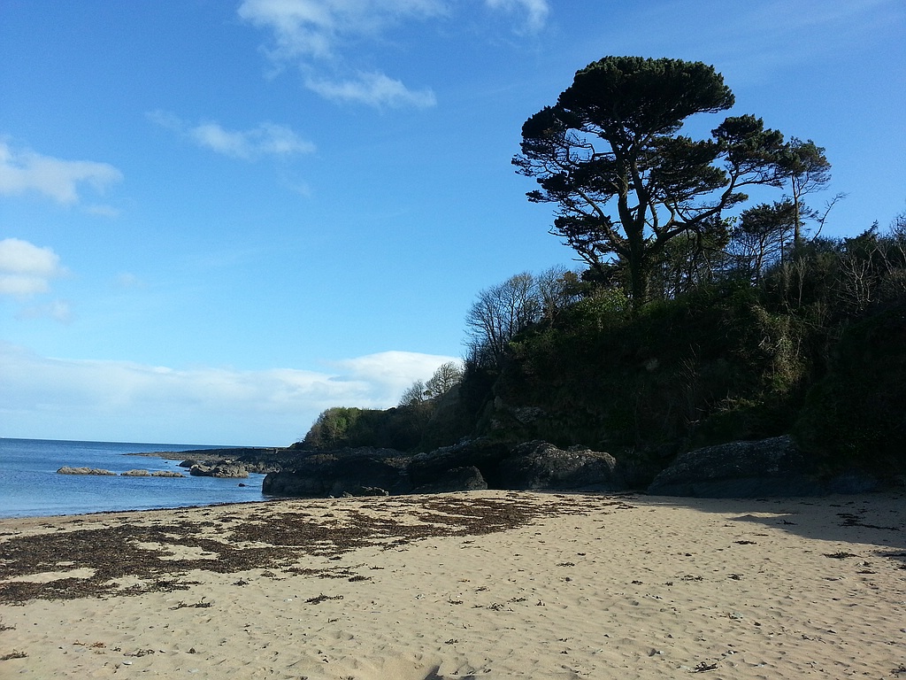 Irlandtreffen 20130513 174837