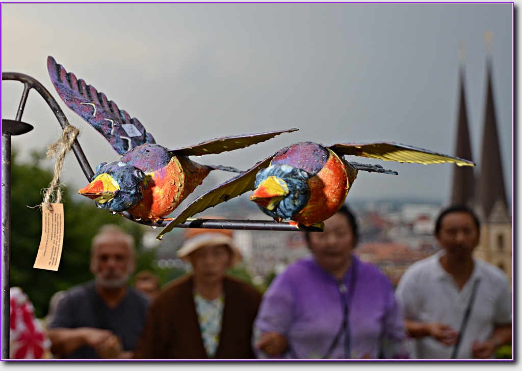 Iron Birds02 NF