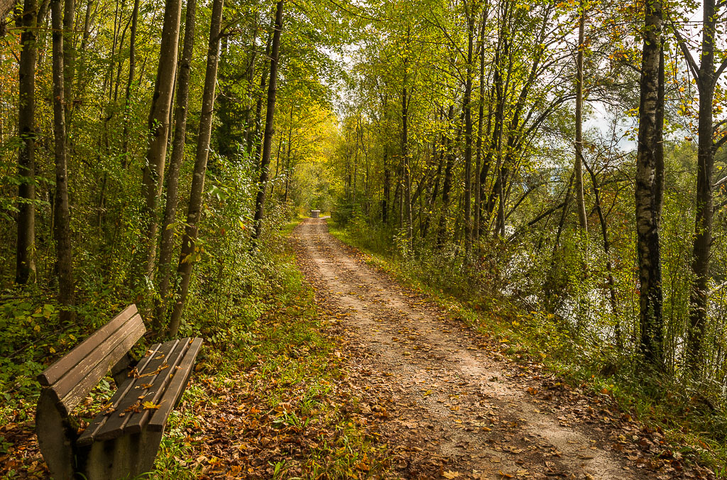 Isarweg im Herbst