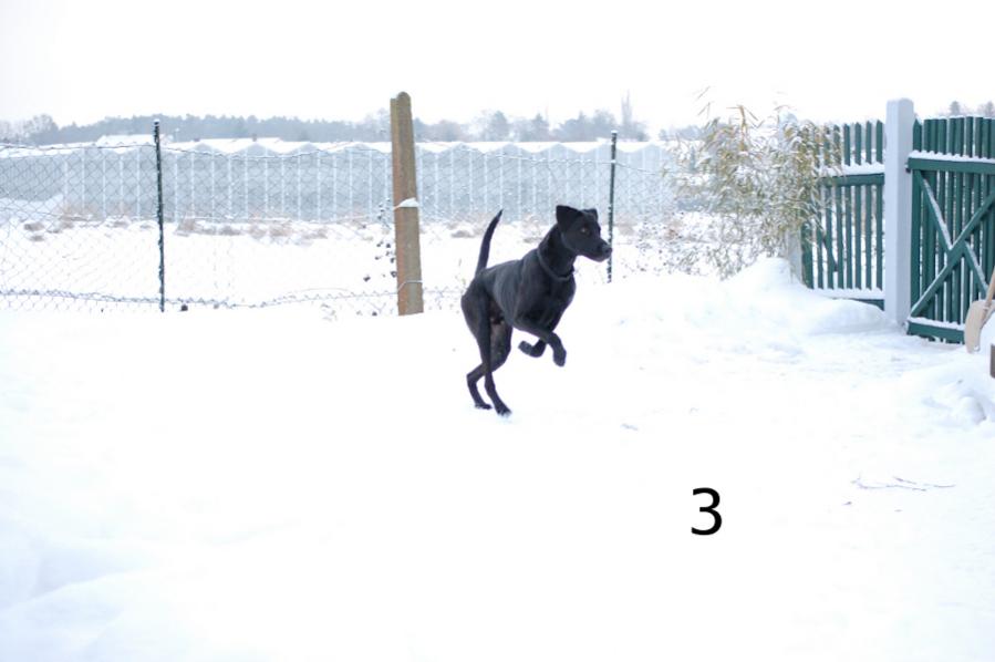 ISBennoschneebew32