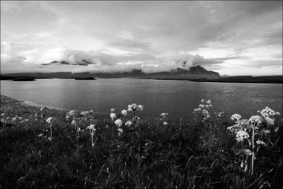 Island 06