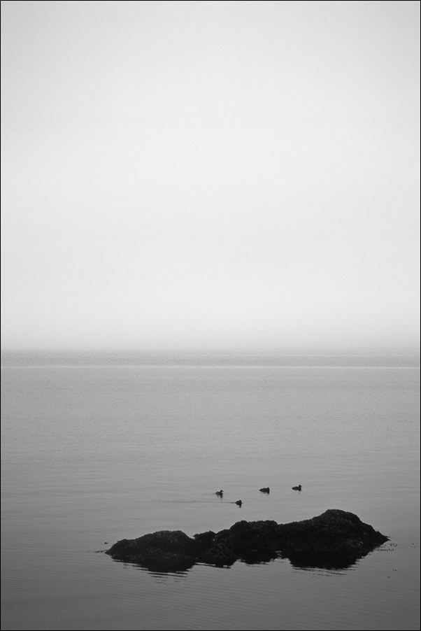 Island 20