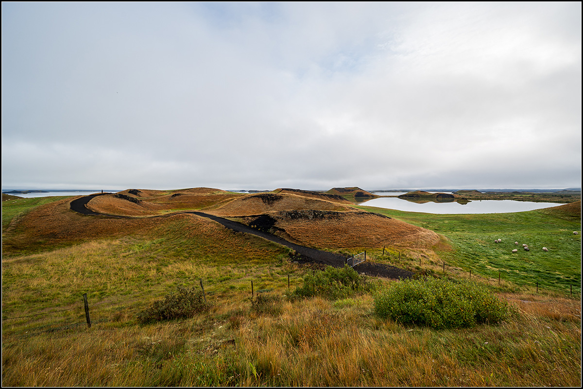 island (225).jpg