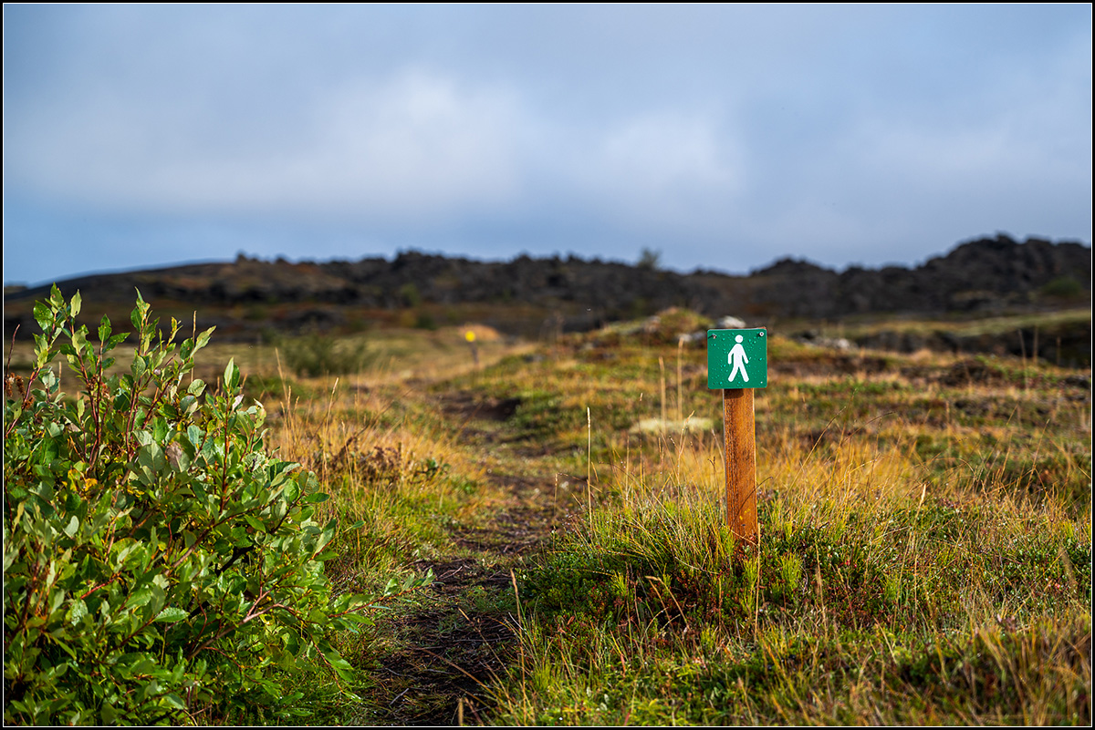 island (227).jpg