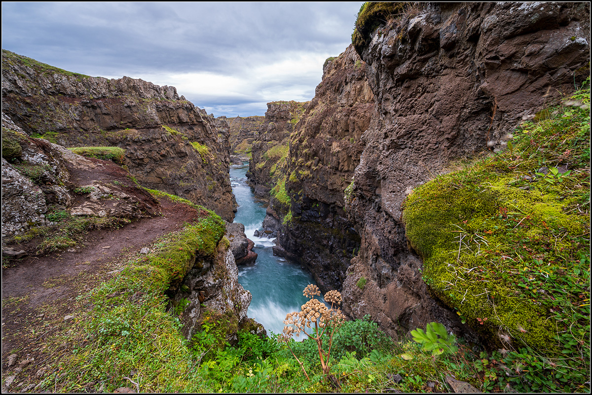 island (286).jpg