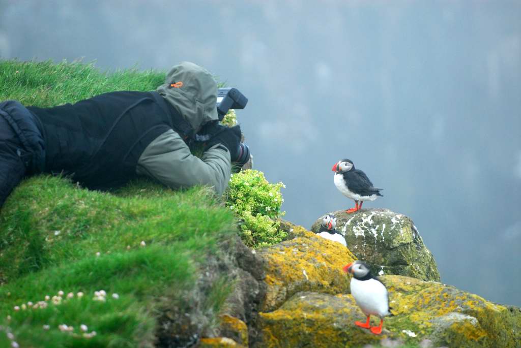 Island_2007