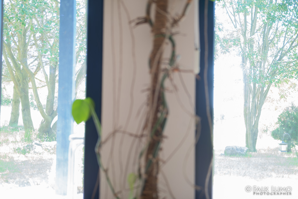 ISO 100 +1EV (LR5 PV2012: -1EV, Whites-100, HL-25)