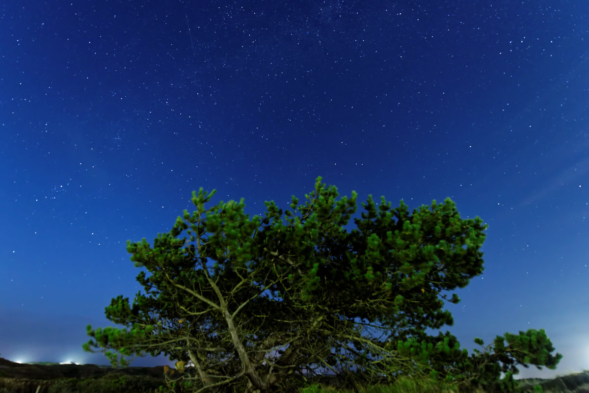 ISO: 1600
f: 4,5
14mm
Nordsee