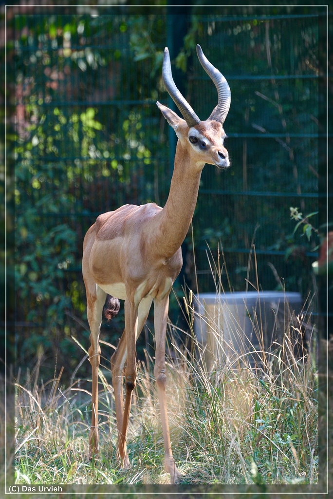 ISO 900, 1/320 s, f/8 600 mm.