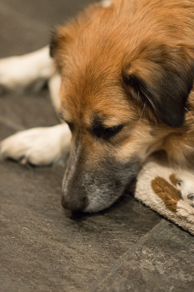 ISO12800 100