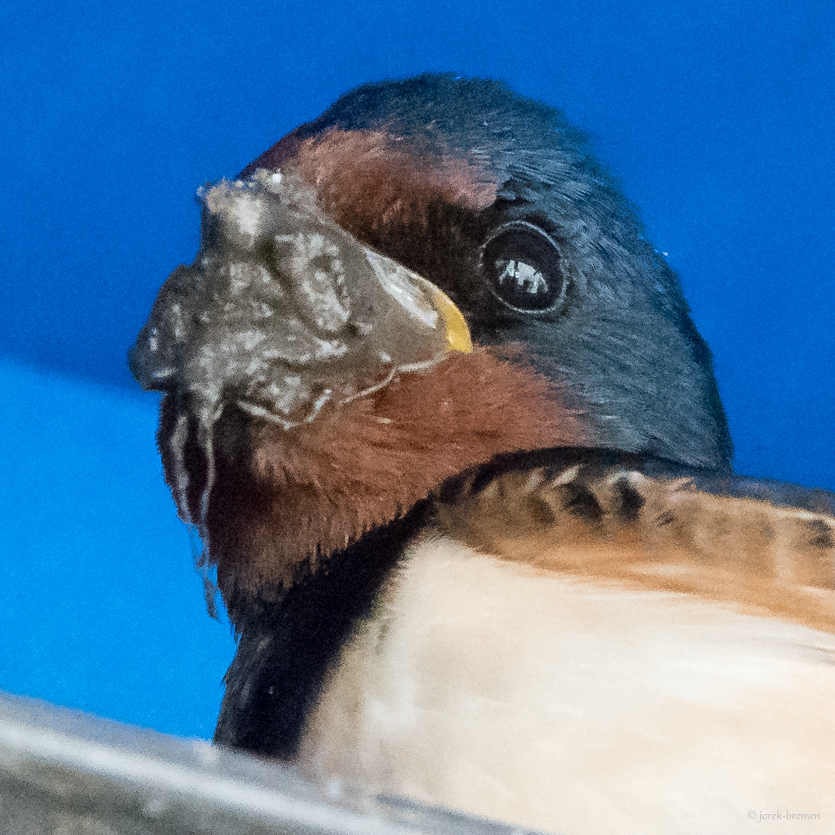ISO25600-jpg-2.jpg