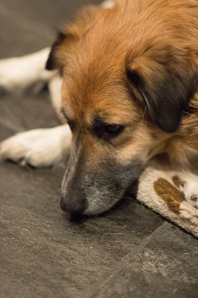 ISO3200 +2LW