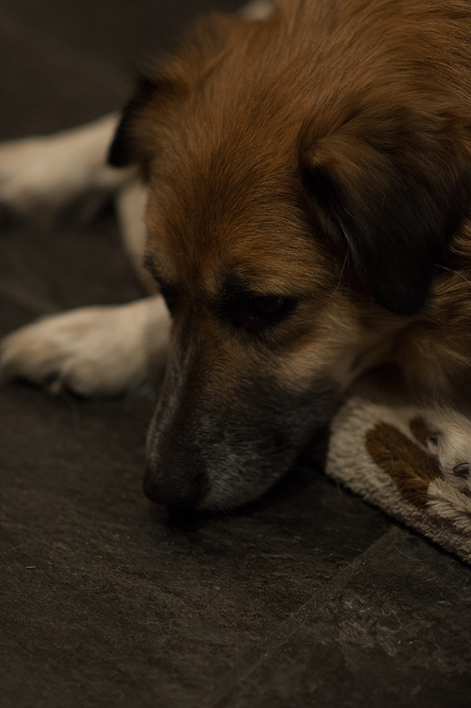 ISO3200 400