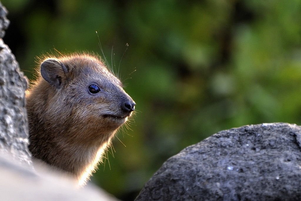 Israel07 08 0452 01x