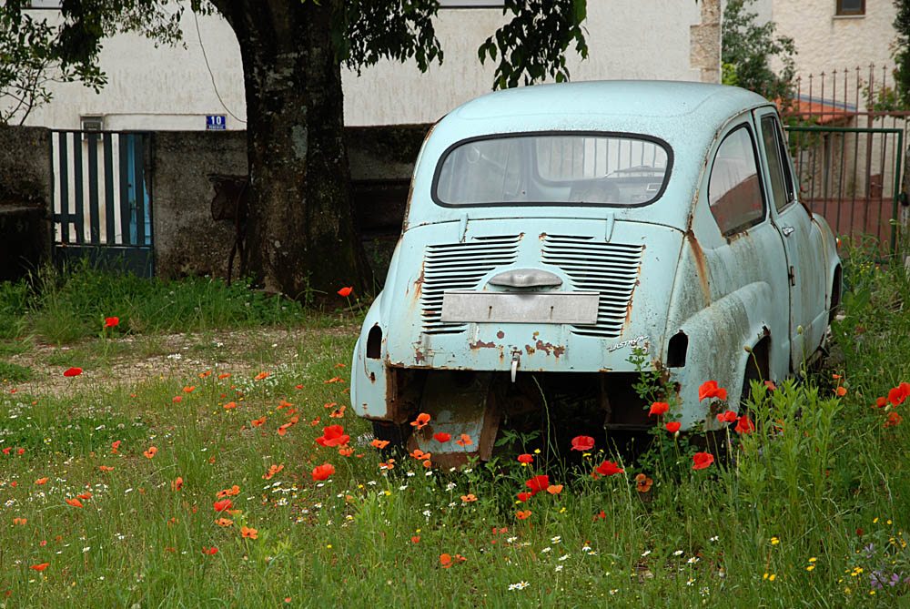 istrien fiat