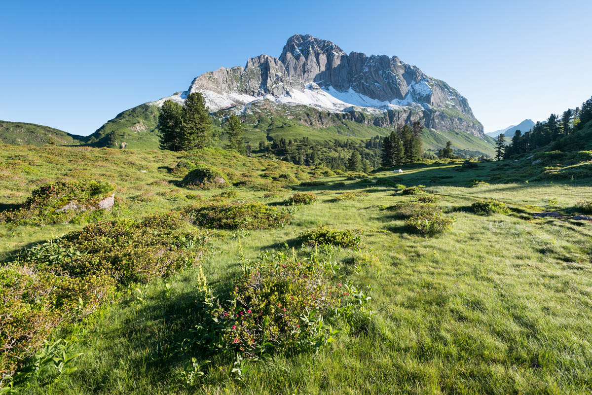 ITA1176 01