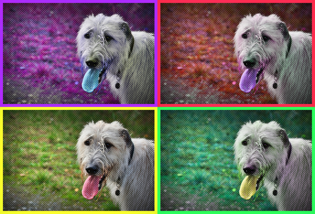IW Elly - a la Warhol