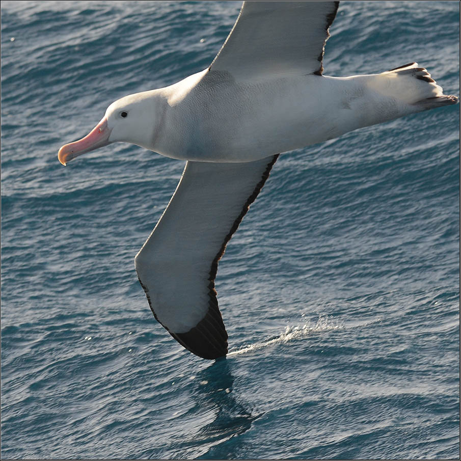J82 8048 web