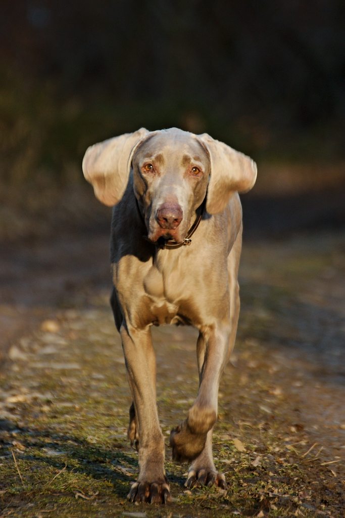 Jack - das letzte Bild