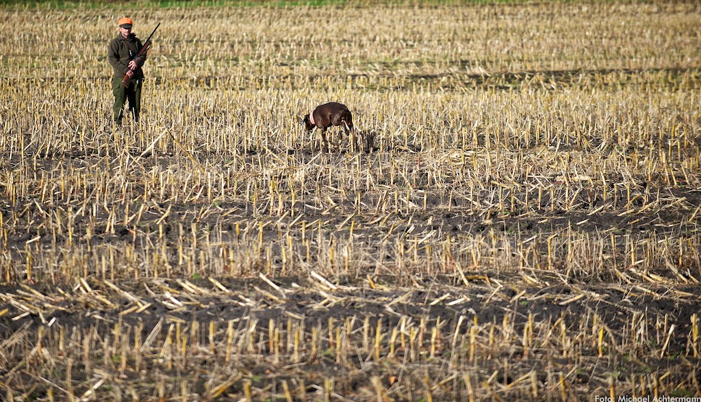 Jagd 121027 164