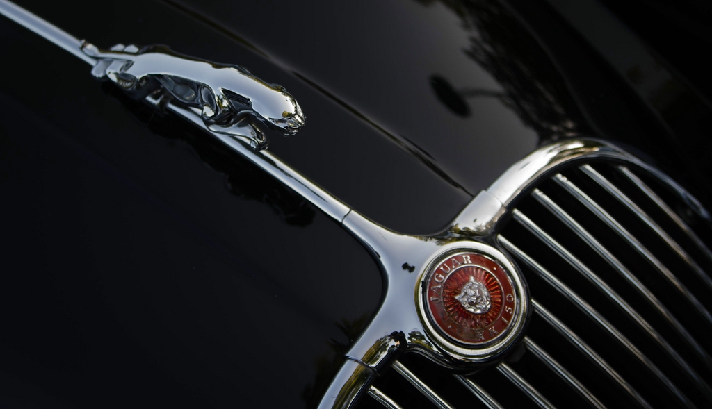 Jaguar DSC 3247