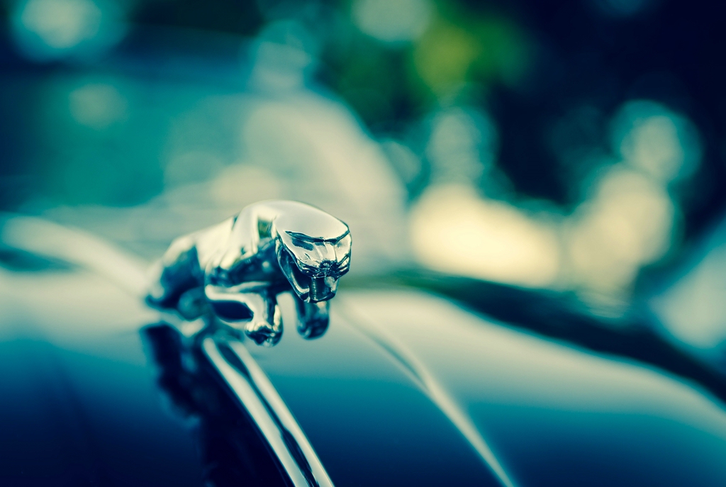 Jaguar DSC 3248