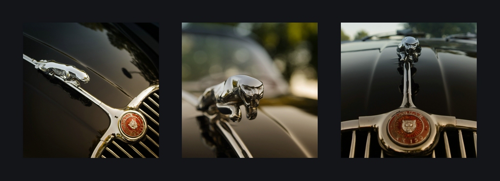 jaguar