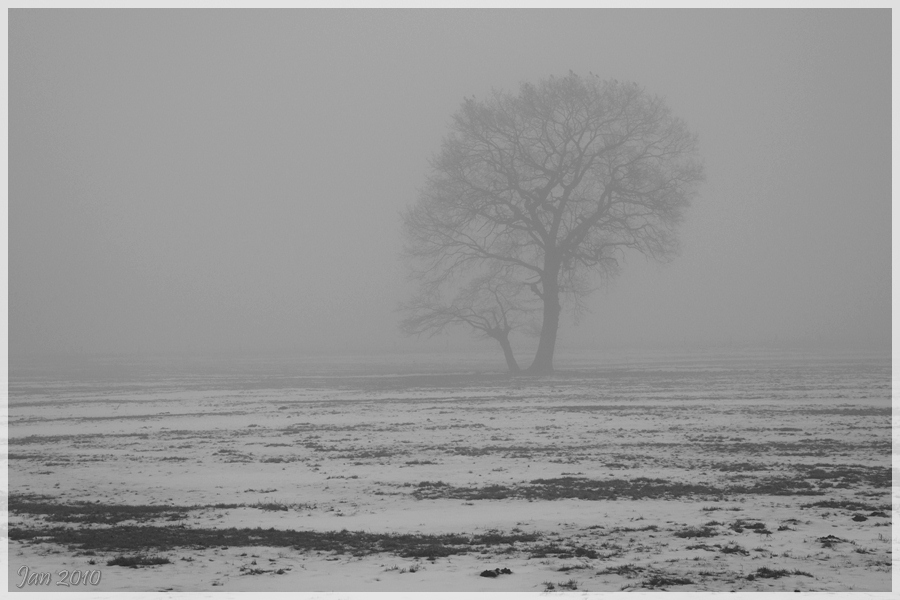 Jan 2010 SW