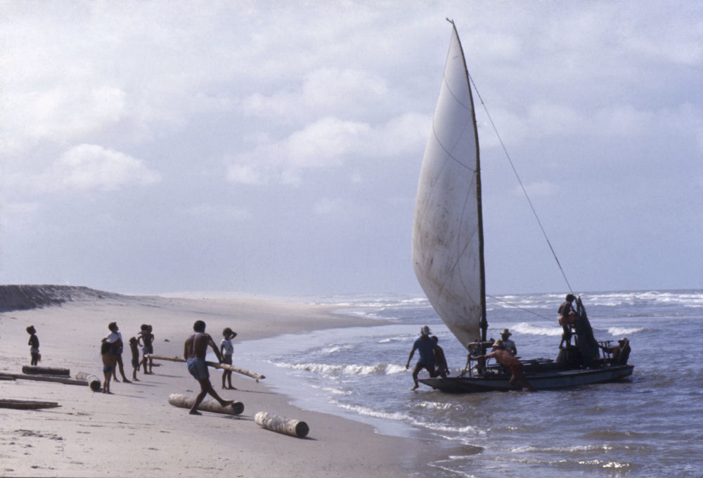 Jangada WEB