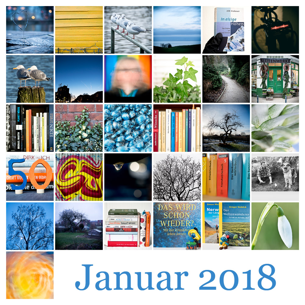 Januar 2018 Mosaik