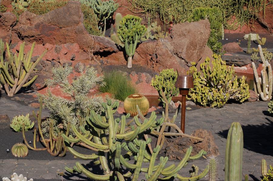 Jardín de Cactus ** Creacion de César Manrique ** Lanzarote