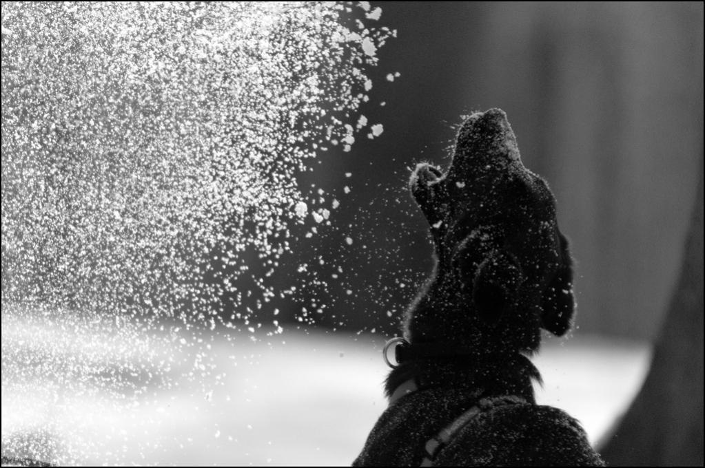 Jari im Schnee