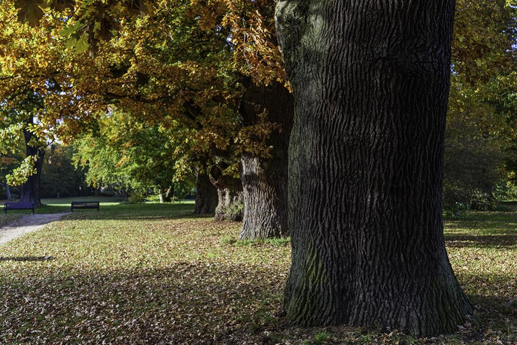 Jenischpark 1  F4Y3415
