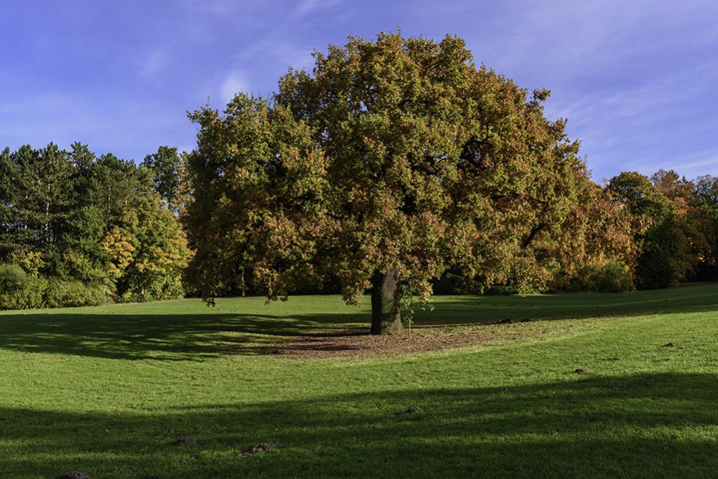Jenischpark 4  F4Y3403