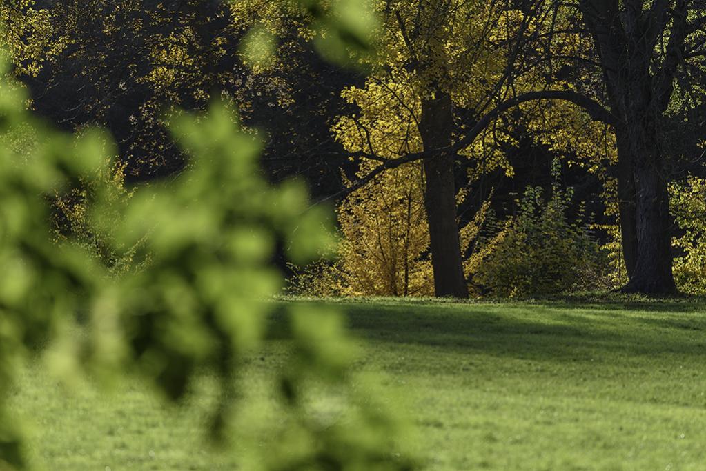 Jenischpark 7  F4Y3432