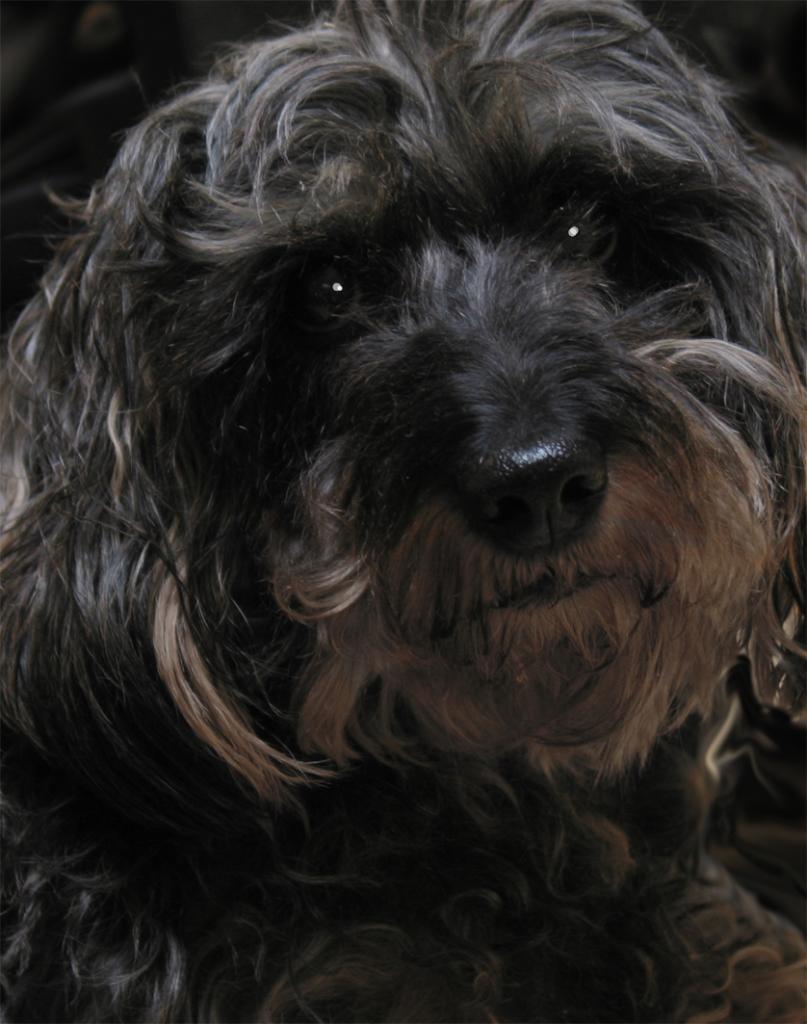 Jenny