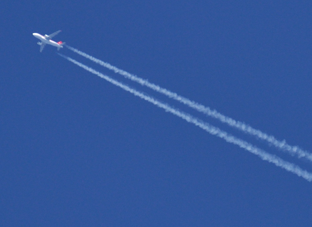 jet 1 DSC 1721