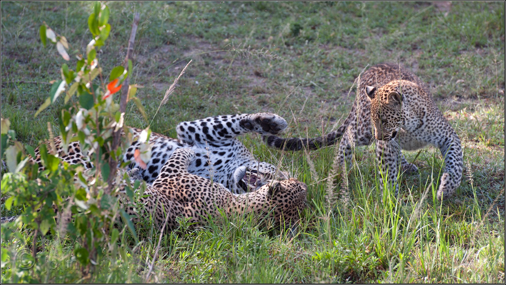 JO7 4228