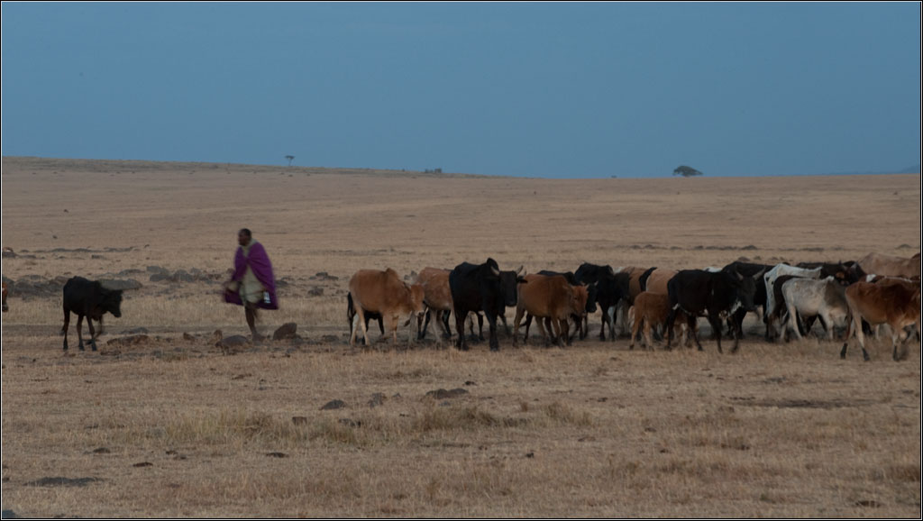 JO7 5492