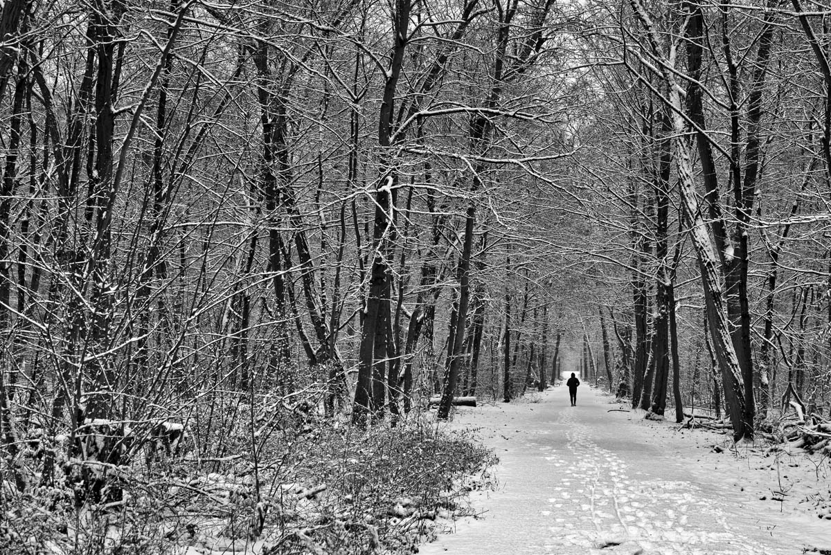 joggen_im_wald_1200.jpg