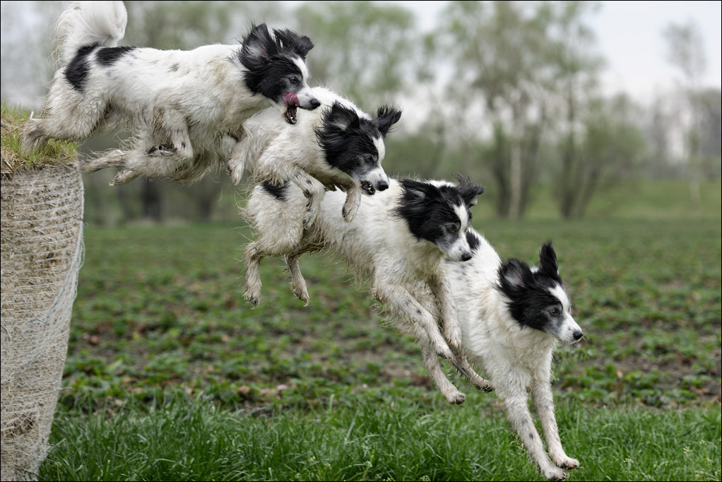 jump