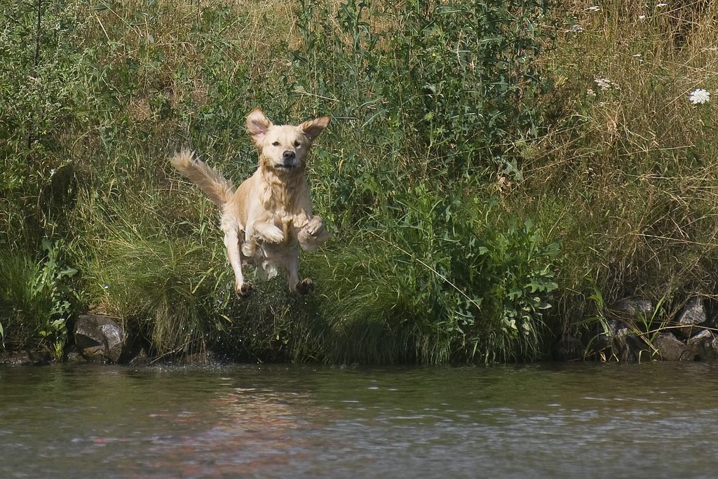jump