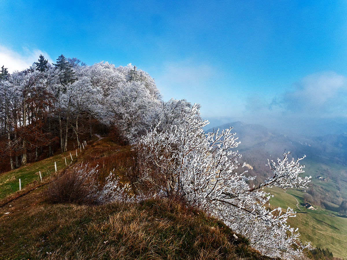 Jura.jpg