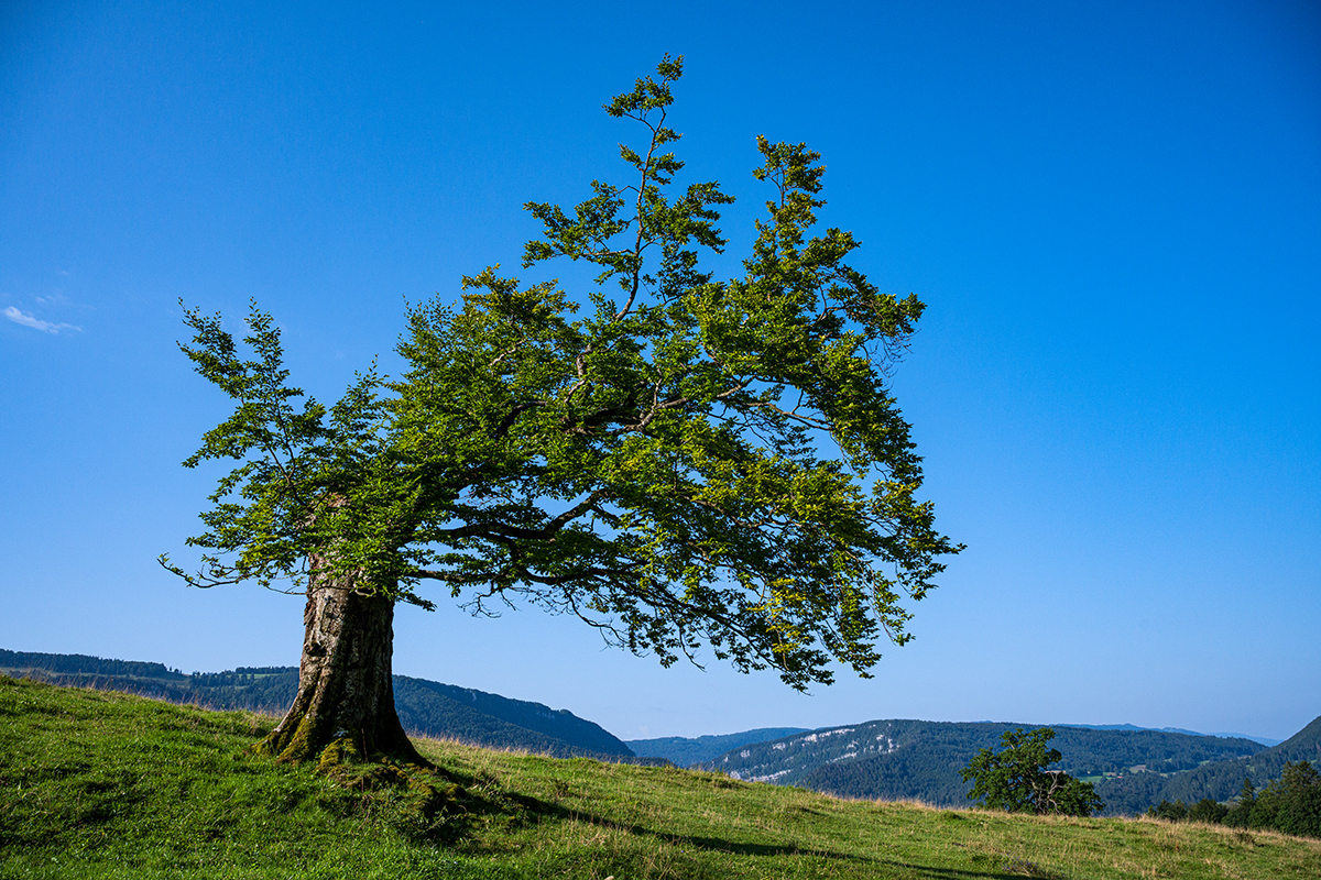 Jura.jpg