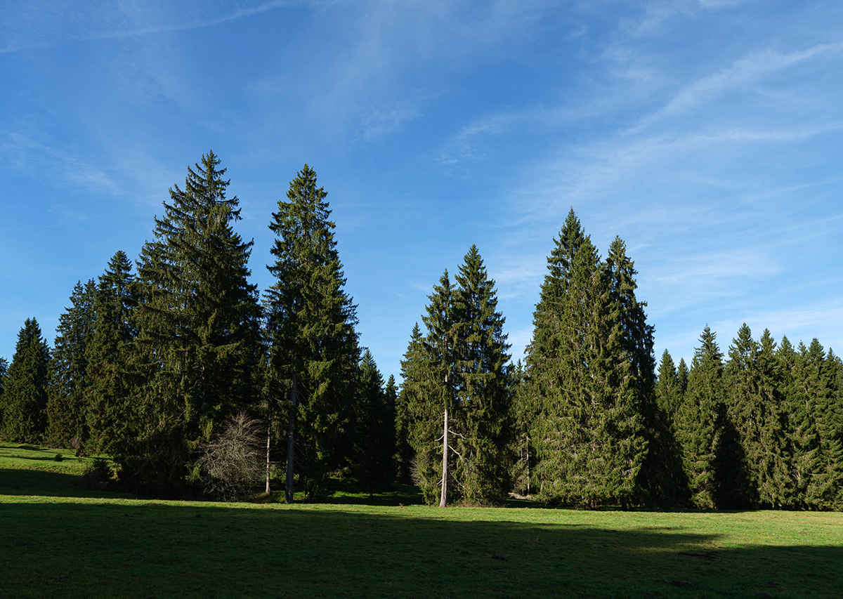 Jura.jpg