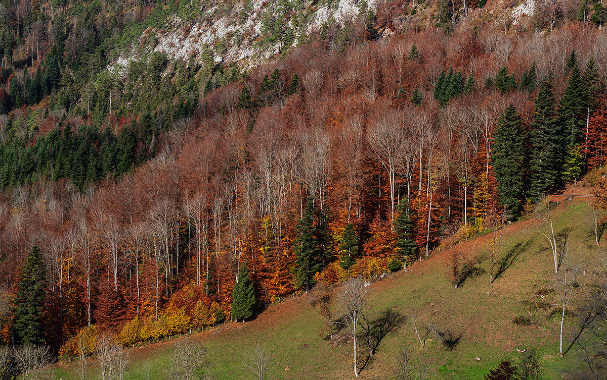 Jura.jpg