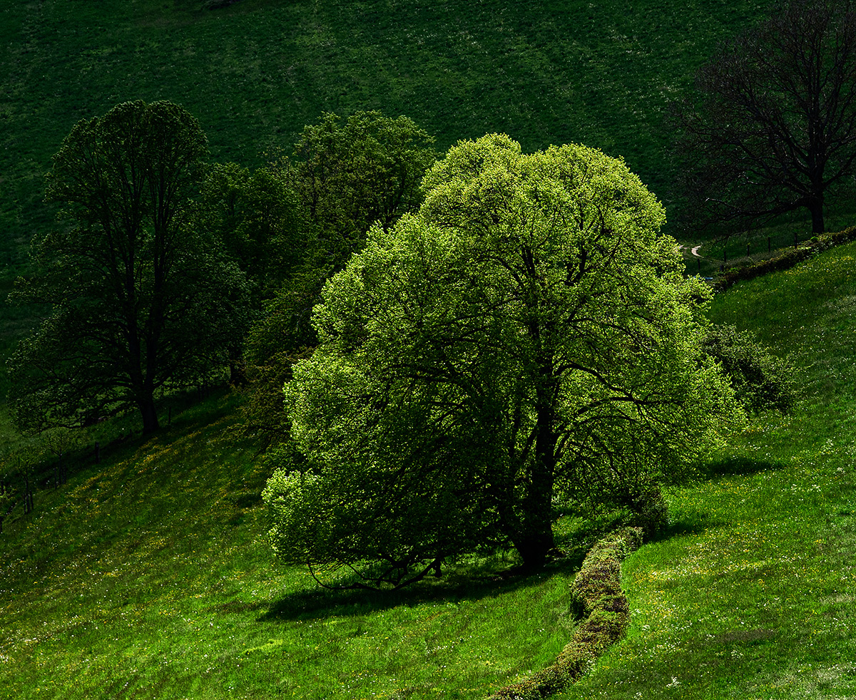 Jura.jpg